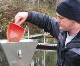 Erich füllt Futterautomat der Fische